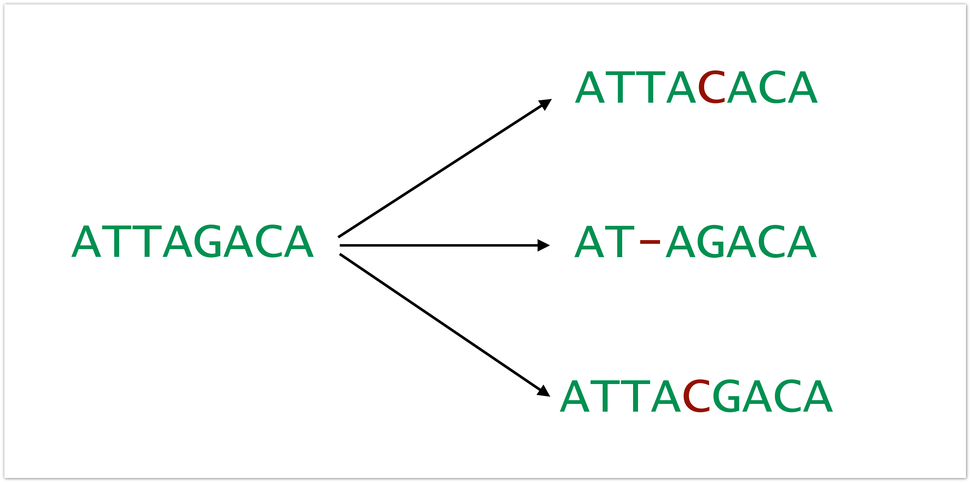 MiTCR – платформа для диагностики нового типа. Семинар в Яндексе MiTCR – платформа для диагностики нового типа. Семинар в Яндексе