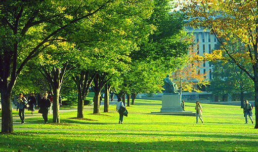 Cornell University