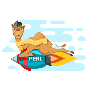 Функции в Perl
