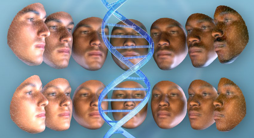 3D моделирование формы лица по генам человека