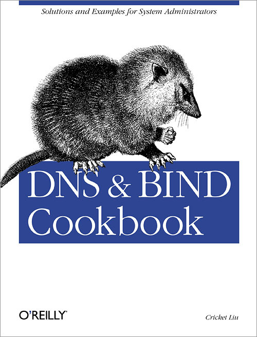 Вебинар Крикета Ли — (со)автора книг о DNS и Bind. Безопасность DNS: угрозы и решения, Best Practices