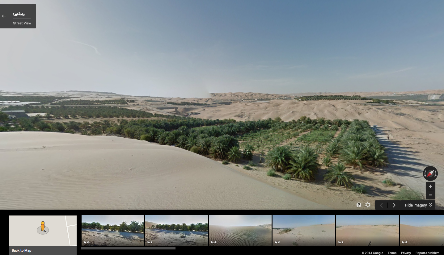 Корпорация Google использовала верблюда в пустыне Лива для Google Street View