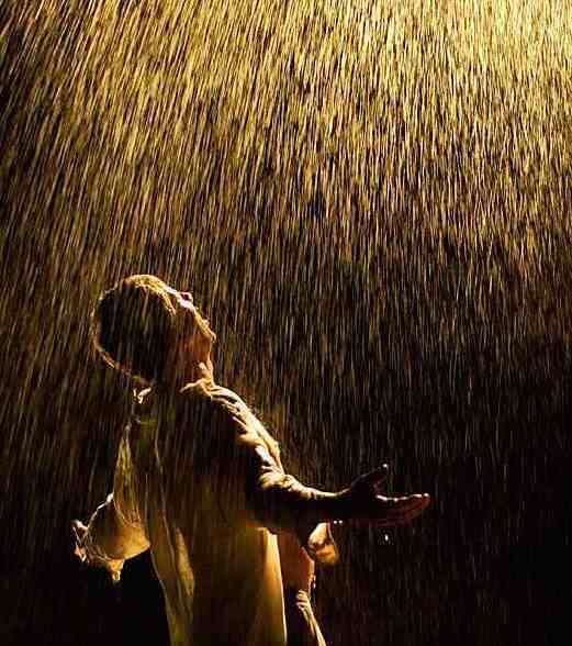 Забавные баги - 7 Забавные баги - 7