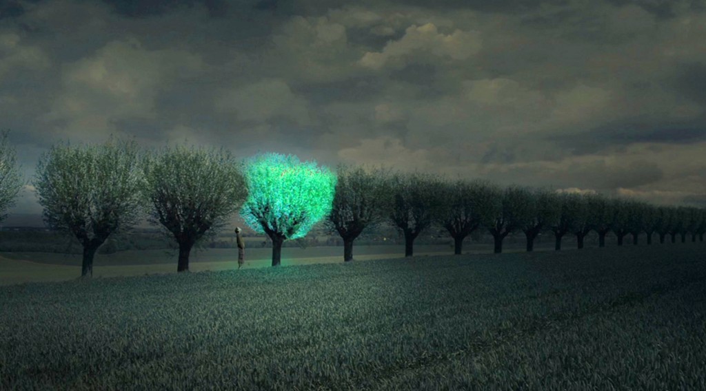 Подсветка городов будущего при помощи биолюминесценции - 3