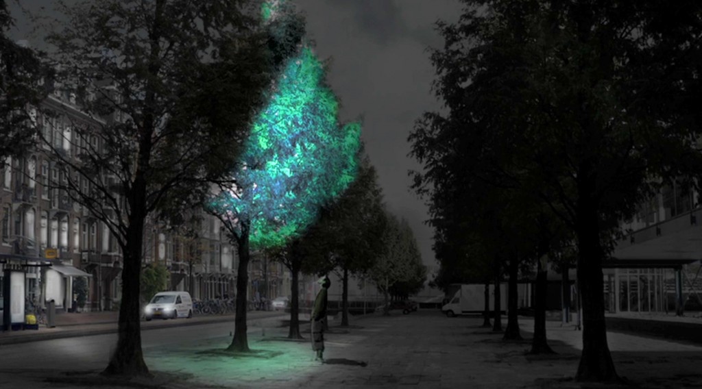 Подсветка городов будущего при помощи биолюминесценции - 1