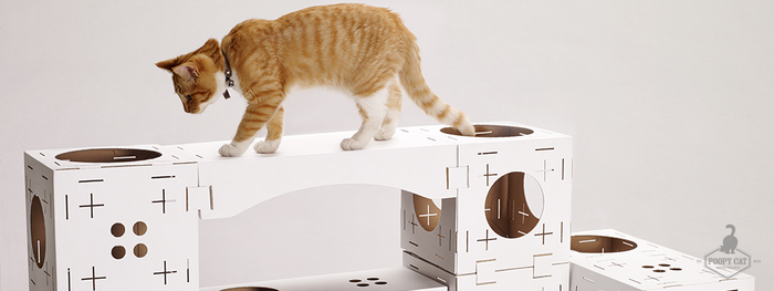 Европейская компания предлагает картонные домики-конструкторы для кошек - 3