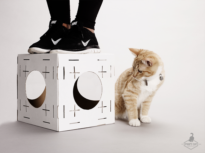 Европейская компания предлагает картонные домики-конструкторы для кошек - 4