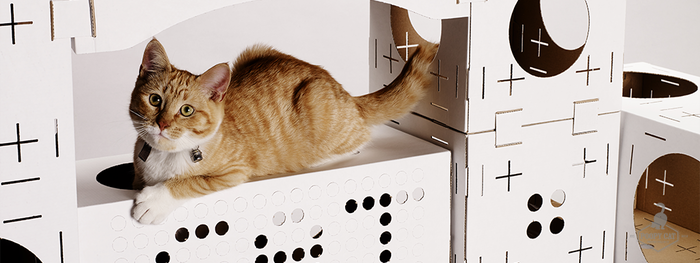 Европейская компания предлагает картонные домики-конструкторы для кошек - 1