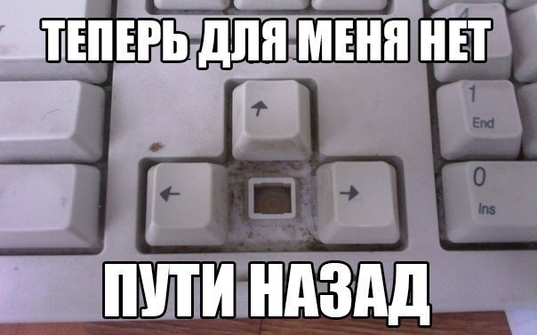 Я горжусь своей профессией. Я — программист - 3 Я горжусь своей профессией. Я — программист - 3