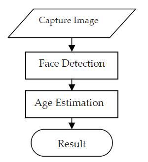 Система автоматической оценки возраста по изображениям лиц - 1