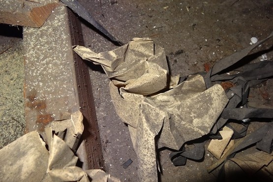 Страницы из блокнота Алана Тьюринга использовались для изоляции крыши - 8