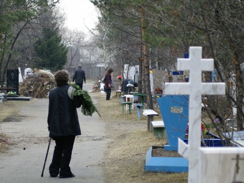 В Подмосковье появится возможность наблюдать за могилами родственников онлайн - 1