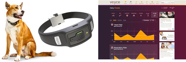 Как умные часы, спортивные трекеры и прочие гаджеты измеряют пульс? Часть 2 - 23 Как умные часы, спортивные трекеры и прочие гаджеты измеряют пульс? Часть 2 - 23