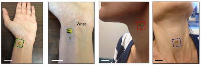 Как умные часы, спортивные трекеры и прочие гаджеты измеряют пульс? Часть 2 - 7 Как умные часы, спортивные трекеры и прочие гаджеты измеряют пульс? Часть 2 - 7