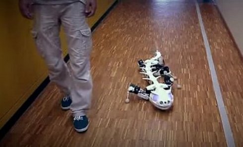 Ученые создали роботизированную саламандру (Видео)