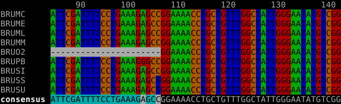 Библиотека эмуляции терминала ROTE и Lua привязки - 2 DNA alignment