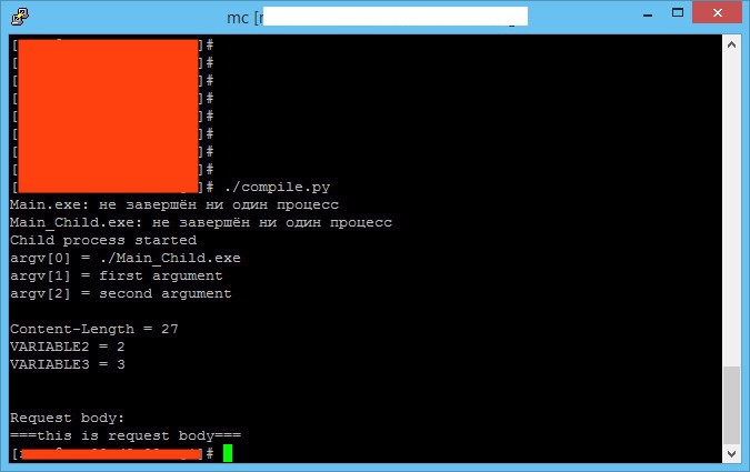 Пример простейшего cgi сервера - 1