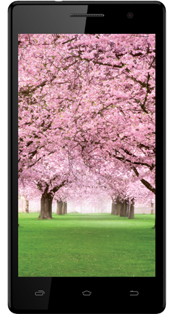 Смартфон Intex Aqua Desire HD: восьмиядерная SoC MediaTek MT6592M и экран разрешением 1280 х 720 точек - 1