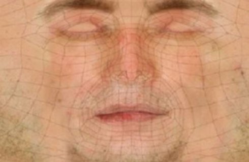Американские специалисты создали трёхмерную модель человеческой кожи