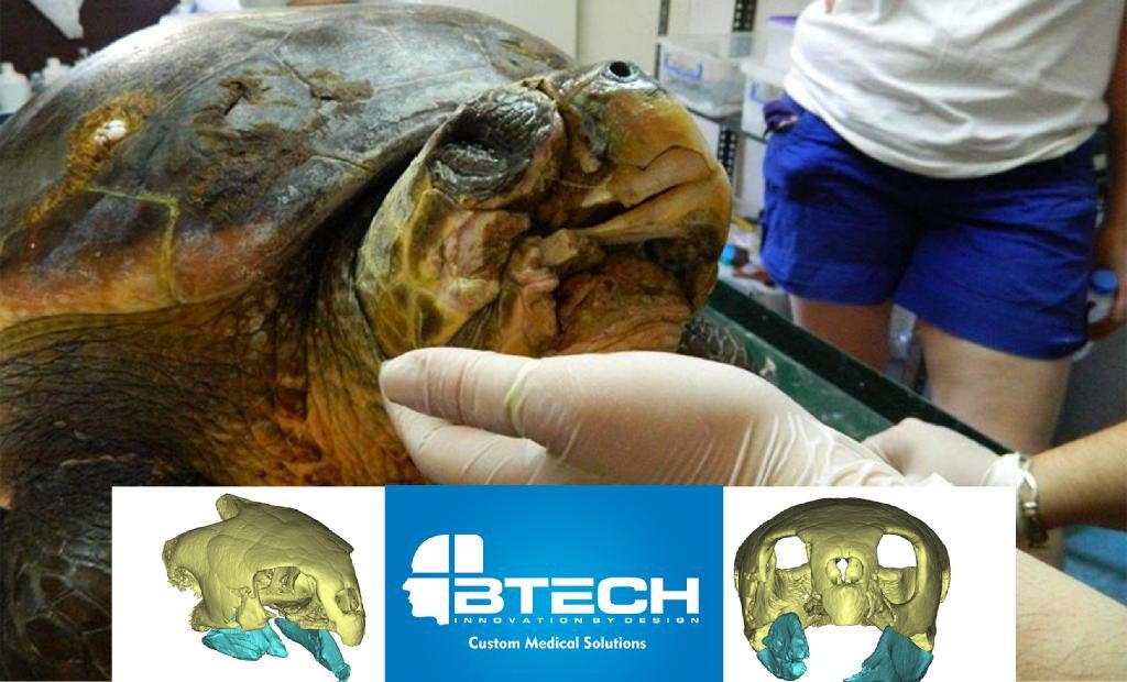 Морская черепаха с сильно поврежденными челюстями получила титановые протезы, отпечатанные на 3D-принтере - 2