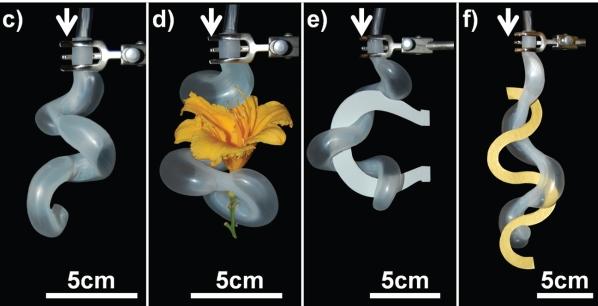 Роботы смогут аккуратно пощупать нежные объекты - 2 image
