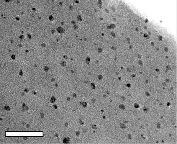 Учёные сделали из графена катализатор, добавив наночастицы металлов - 2