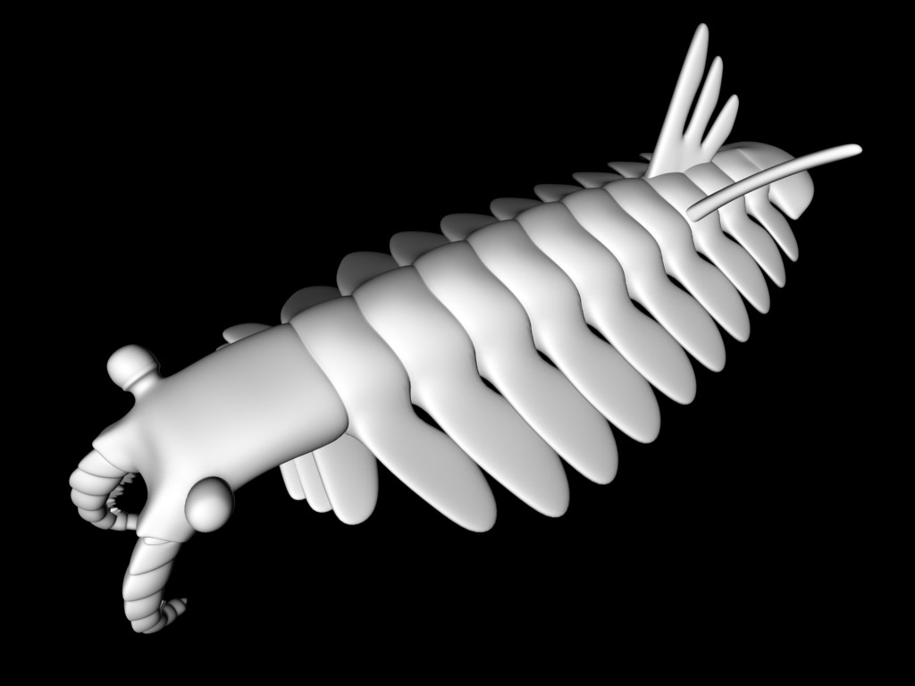 Реконструкция Anomalocaris   canadensis , выполненная 3-D моделлером Е.Ю.Махневым