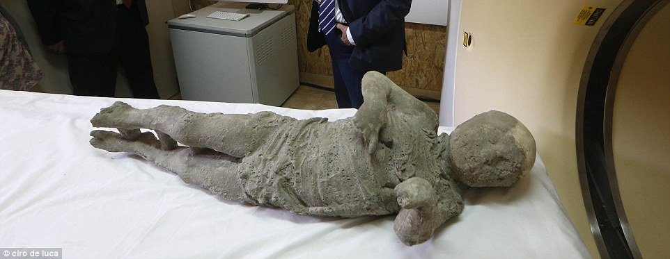 Последний день Помпеи: итальянские ученые провели сканирование останков жертв катастрофы - 2