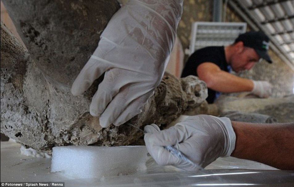 Последний день Помпеи: итальянские ученые провели сканирование останков жертв катастрофы - 5