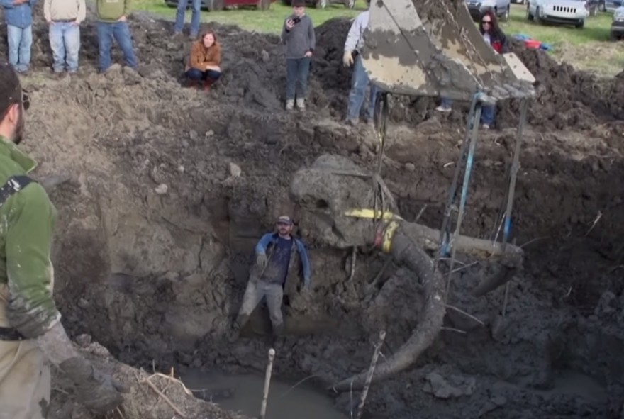 Американский фермер обнаружил останки мамонта на своем поле - 1