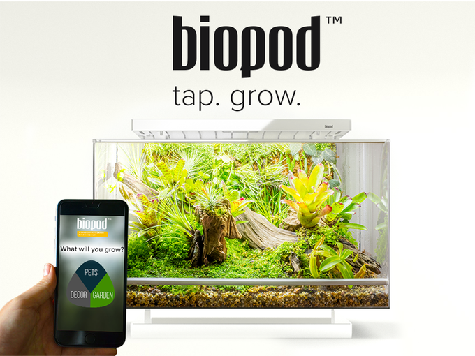 Biopod — умная экосистема в миниатюре с Kickstarter - 1