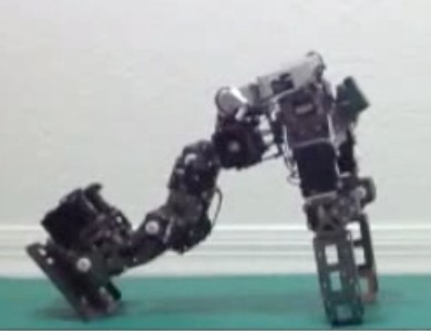 Роботов научили падать безопасно, изучив падения кошек - 1