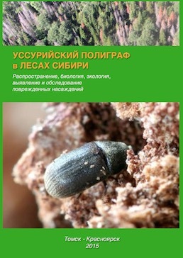 Пихтовые леса Сибири уничтожают жуки размером два миллиметра - 15