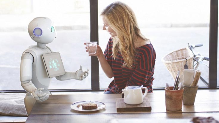 Самыми распространенными будут роботы для работы по дому