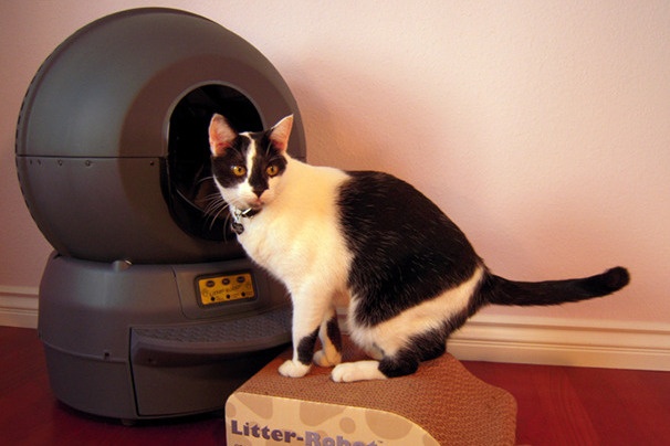 Litter Robot II: «умный туалет» для кошки в обычной квартире - 1