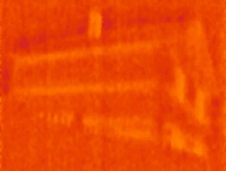 Увидеть невидимое! «Seek Thermal» — тепловизор из Санта-Барбары - 20