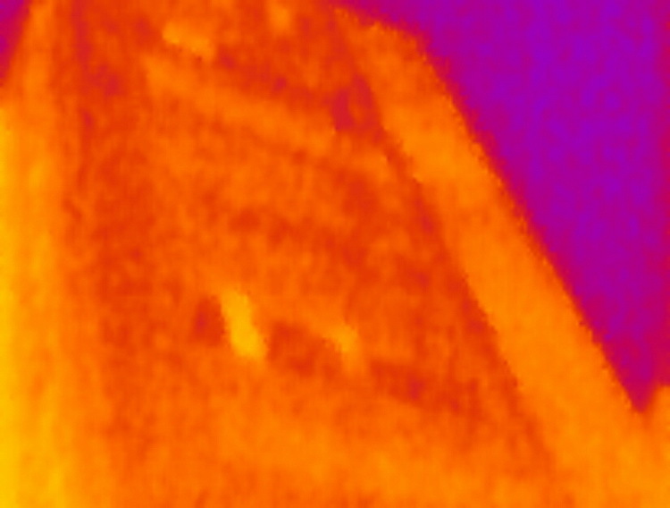 Увидеть невидимое! «Seek Thermal» — тепловизор из Санта-Барбары - 23
