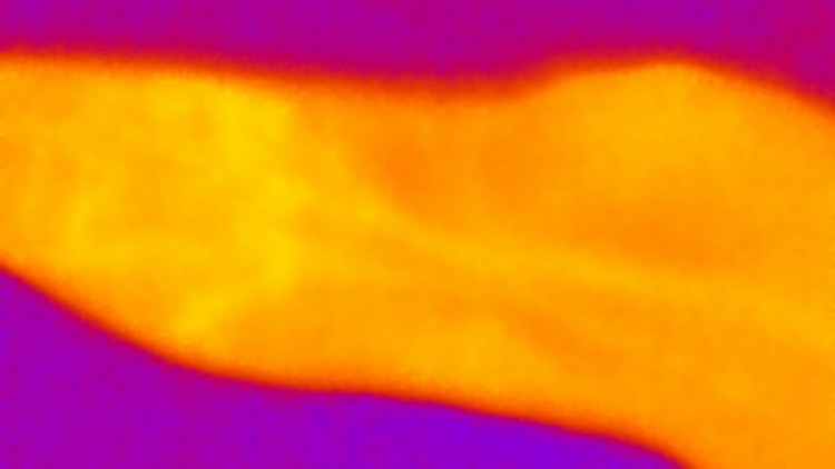 Увидеть невидимое! «Seek Thermal» — тепловизор из Санта-Барбары - 8