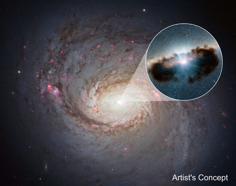 Комковатый «пончик» из газа и пыли вокруг сверхмассивной чёрной дыры - 1