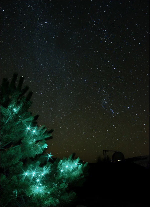 Звезды и комета под шубой - 1