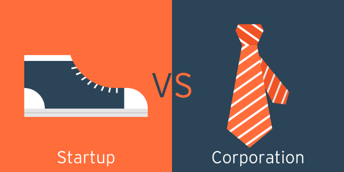 Большие компании vs стартапы: где лучше работать программисту (опыт США) - 1