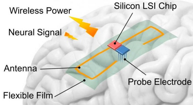 Японцы сделали устройство для беспроводной передачи электроэнергии в мозг - 1