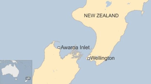 Краудфандинг позволил жителям Новой Зеландии выкупить пляж у бизнесмена, сделав его общественным - 2