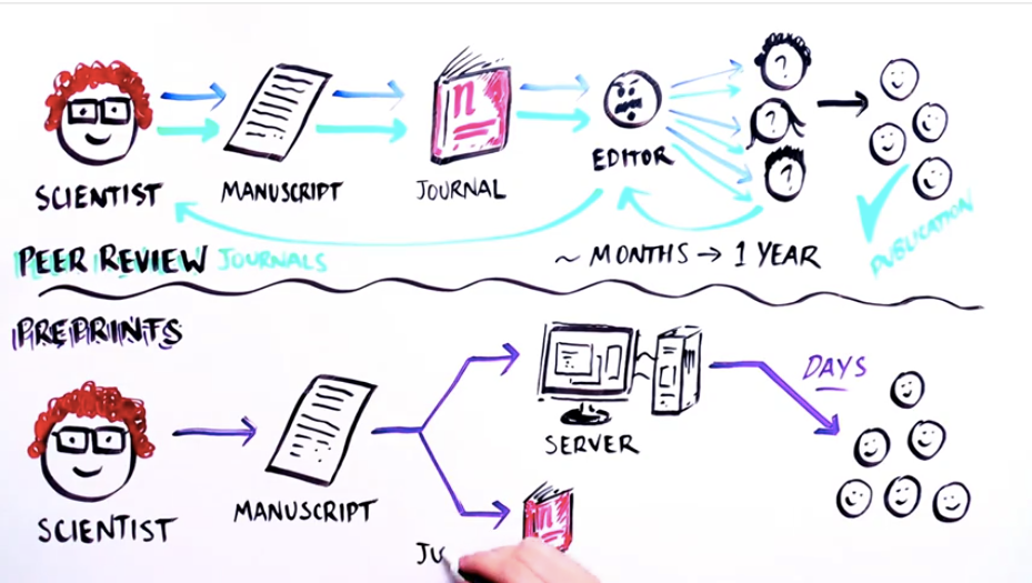 Несколько известных биологов нарушили табу и опубликовали научные работы прямо в интернете - 1 Несколько известных биологов нарушили табу и опубликовали научные работы прямо в интернете - 1