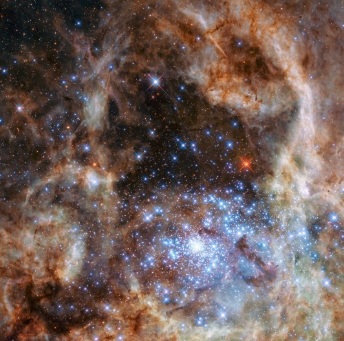 «Хаббл» изучил кластер с 9 гигантскими звёздами в 100-250 раз массивнее Солнца - 1