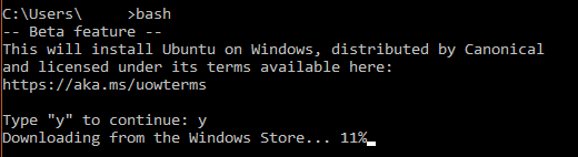 Включение подсистемы Linux в Windows 10 - 6