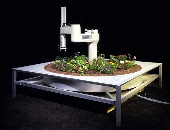 Развитие облачных технологий и робототехники в новом десятилетии - 3 Развитие облачных технологий и робототехники в новом десятилетии - 3