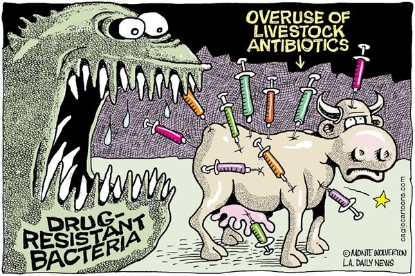 Антибиотики и резистентность бактерий: β-лактамные антибиотики - 1