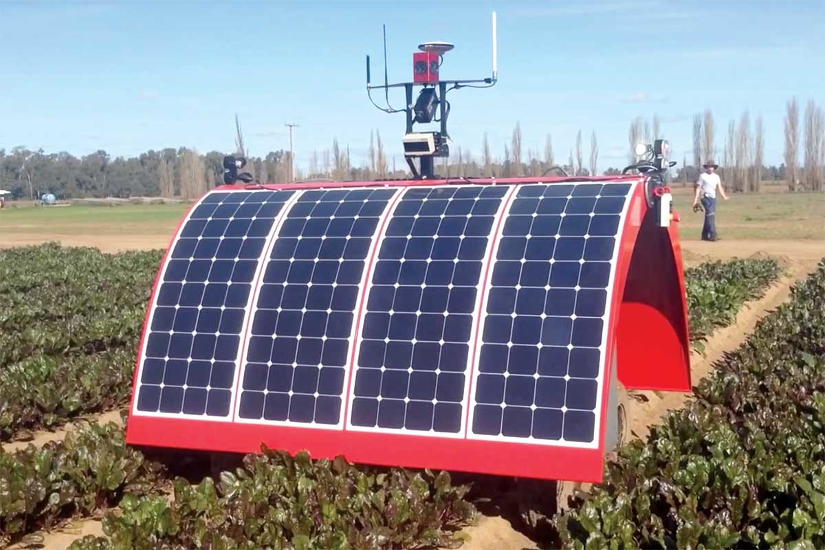 Снятся ли андроидам электроовцы? Сельскохозяйственные роботы Австралии заменяют на фермах работников-людей - 2