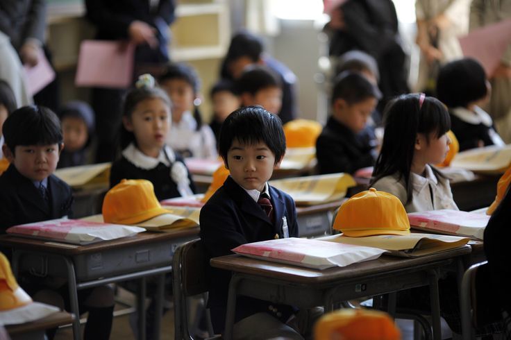 Япония вводит обязательные уроки программирования в начальной школе - 1